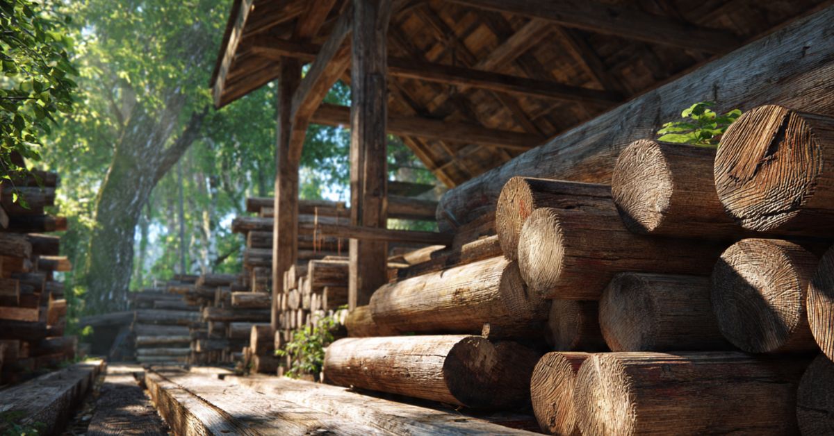 De qué recursos naturales se obtienen los muebles